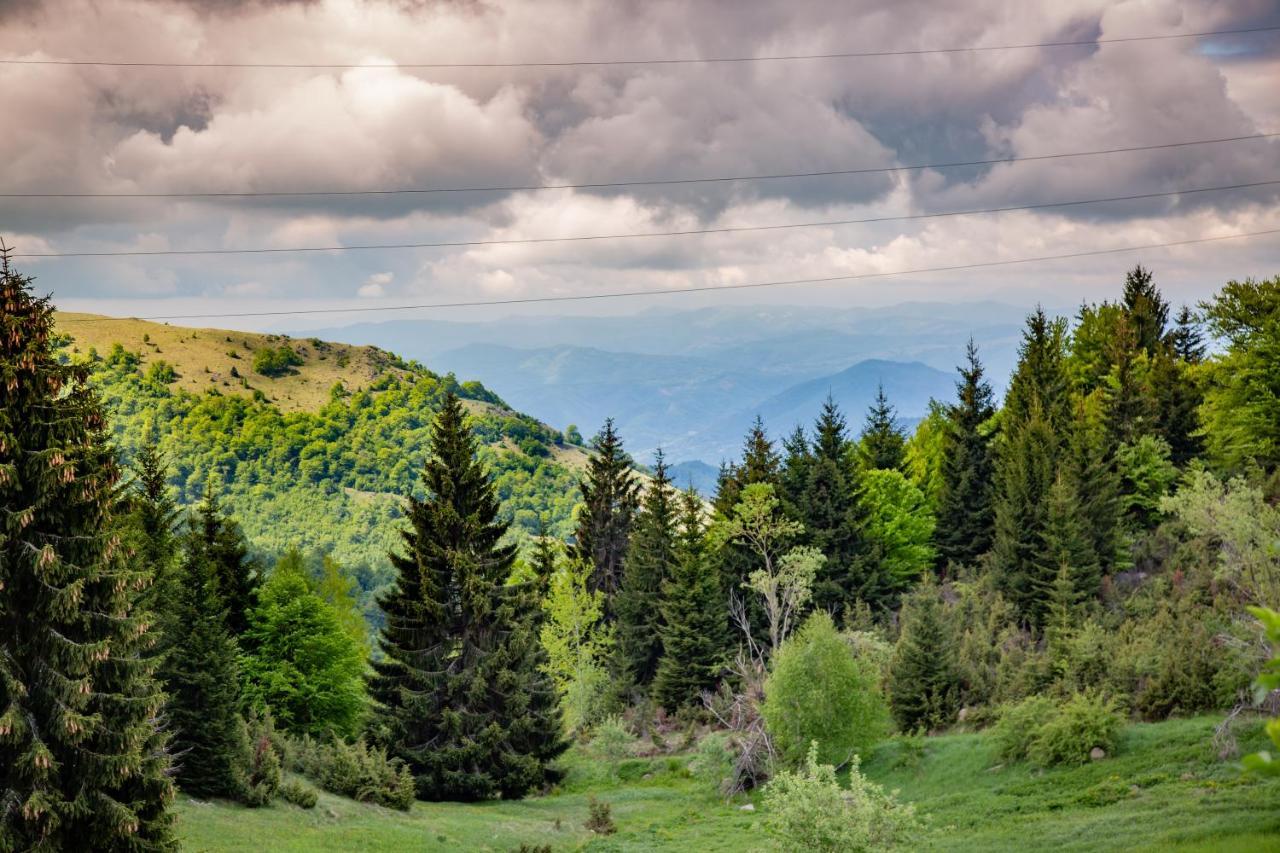 Apartments View Dvori E25 Kopaonik Buitenkant foto